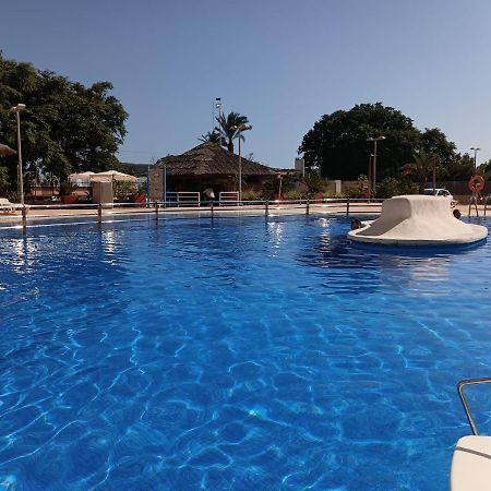 Sunny Place. Guardamar del Segura Luaran gambar